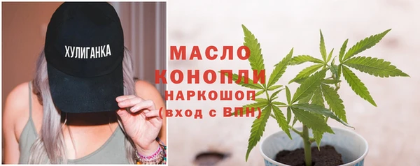 индика Волосово