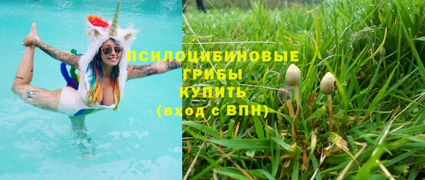 индика Волосово