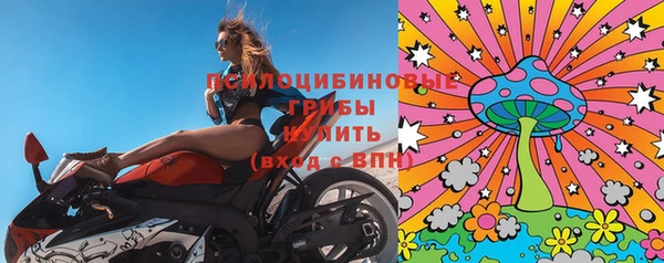 индика Волосово