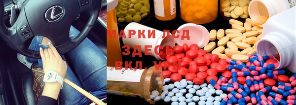 индика Волосово