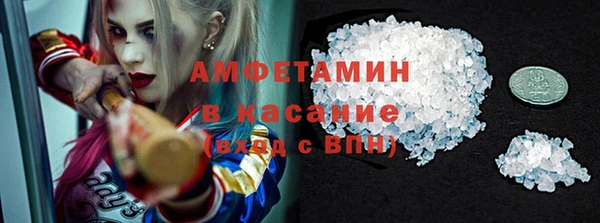 индика Волосово