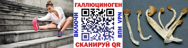 Галлюциногенные грибы Magic Shrooms  Купить закладки  Правдинск 